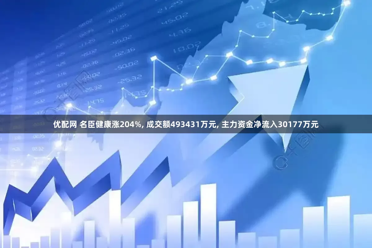 优配网 名臣健康涨204%, 成交额493431万元, 主力资金净流入30177万元